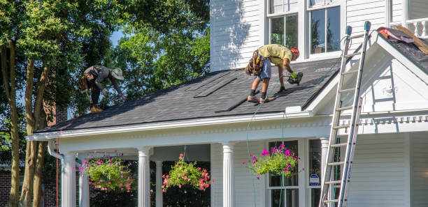 Best New Roof Installation  in Harrington, DE