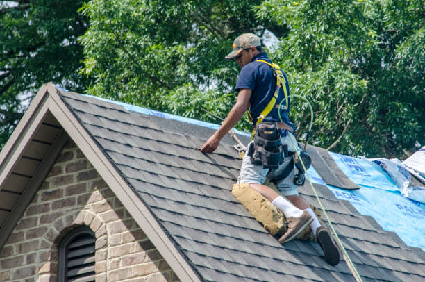 Best Residential Roofing Contractor  in Harrington, DE